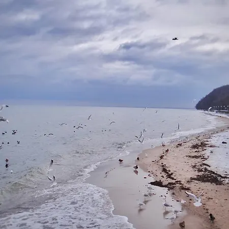 Horizon Z Widokiem Na Morze Apartment *